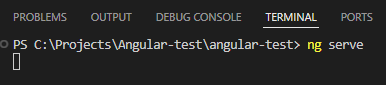 ng serve
